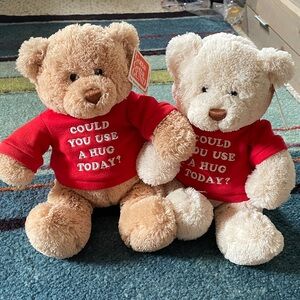 🧸Bear Hugs®️♥️ (2)🧸